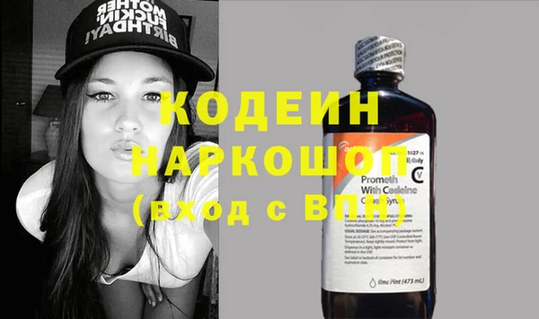 шишки Богородск