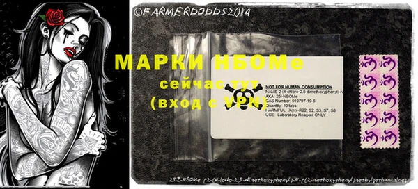 шишки Богородск
