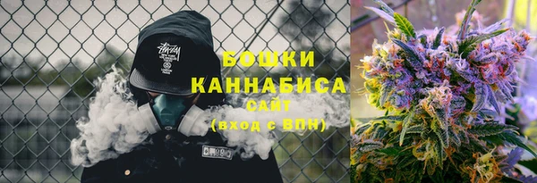 стафф Бородино