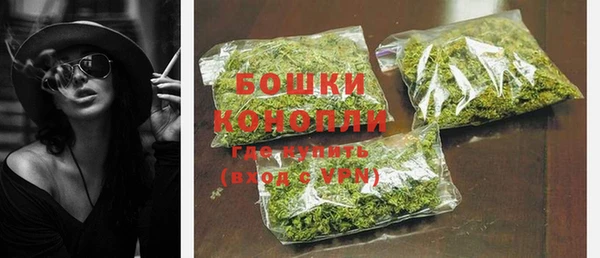 шишки Богородск