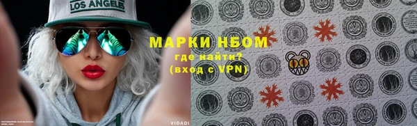 шишки Богородск